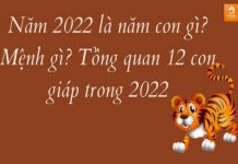 2022-la-nam-con-gi